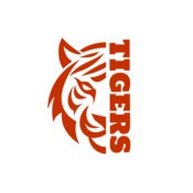 School Tigers 03
