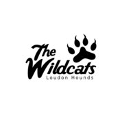 School Wildcats 01