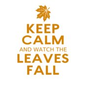 Fall Season 04