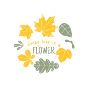 Fall Season 13