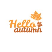 Fall Season 23