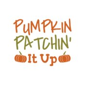 Fall Season 33